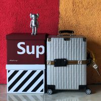 Rimowa X Fendi Luggage In Silver/Black